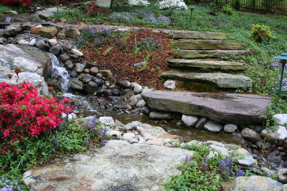 Photo of a traditional garden in Raleigh.