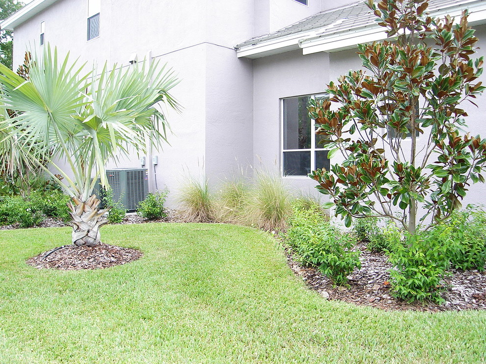 Photo of a contemporary landscaping in Tampa.