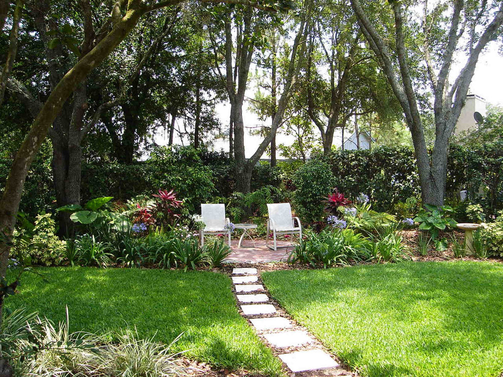 Design ideas for a tropical landscaping in Tampa.