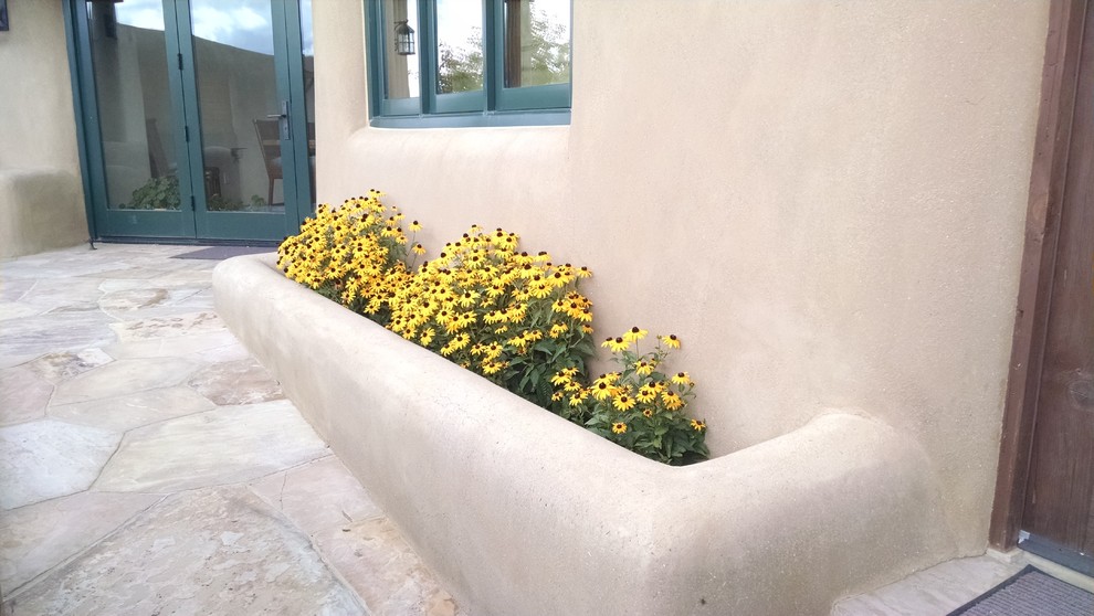 Idee per un giardino xeriscape american style esposto in pieno sole davanti casa in estate con un ingresso o sentiero e ghiaia