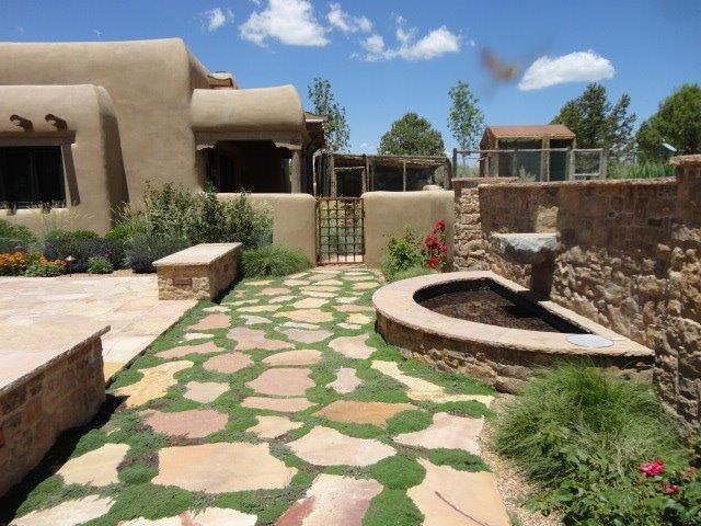 Foto di un giardino xeriscape stile americano esposto in pieno sole davanti casa in estate con un ingresso o sentiero e ghiaia