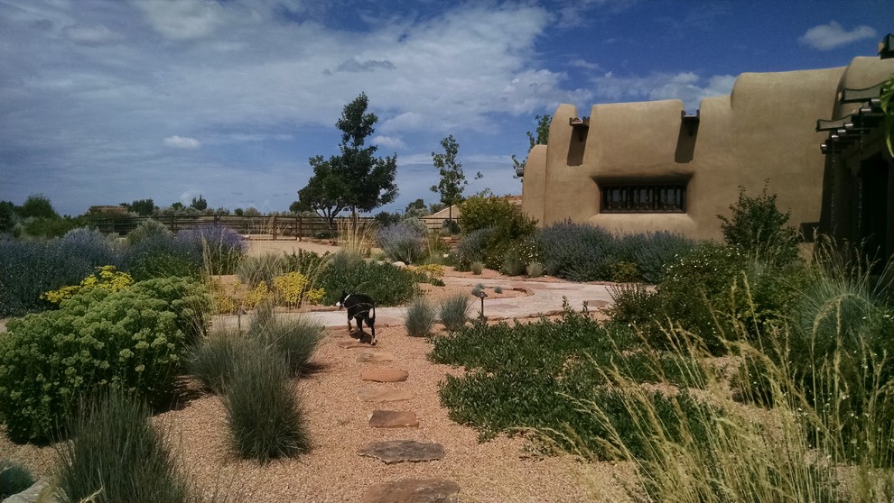 Idee per un giardino xeriscape stile americano esposto in pieno sole davanti casa in estate con un ingresso o sentiero e ghiaia