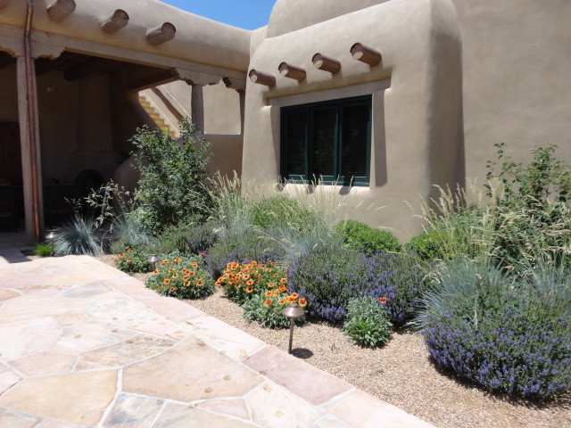 Photo of a front xeriscape full sun garden for summer in Albuquerque with a garden path and gravel.
