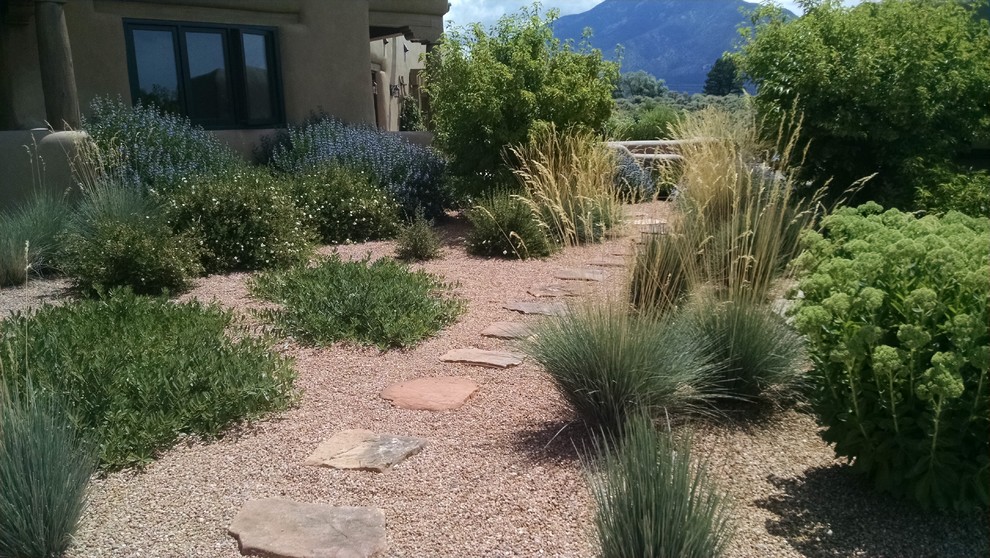Idee per un giardino xeriscape american style esposto in pieno sole davanti casa in estate con un ingresso o sentiero e ghiaia