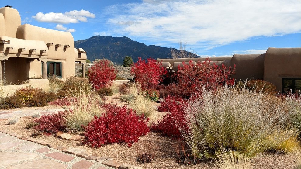 This is an example of a southwestern drought-tolerant and full sun front yard gravel garden path in Albuquerque for summer.