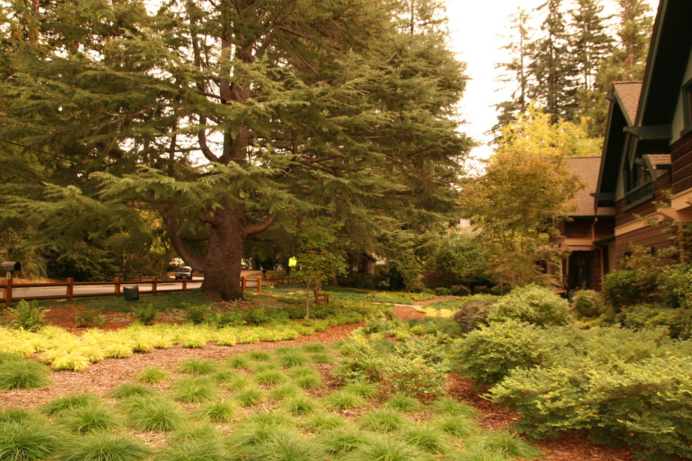 Immagine di un giardino xeriscape classico in ombra di medie dimensioni e davanti casa in primavera con un ingresso o sentiero e pavimentazioni in pietra naturale