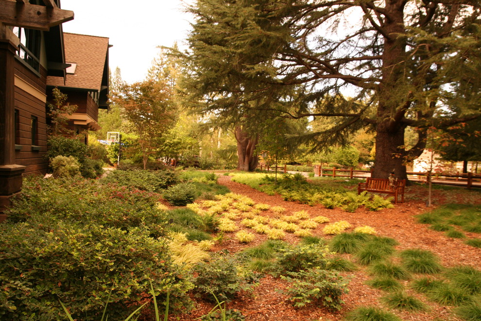 Tapestry lawn in Portola Valley Transitional Landscape San