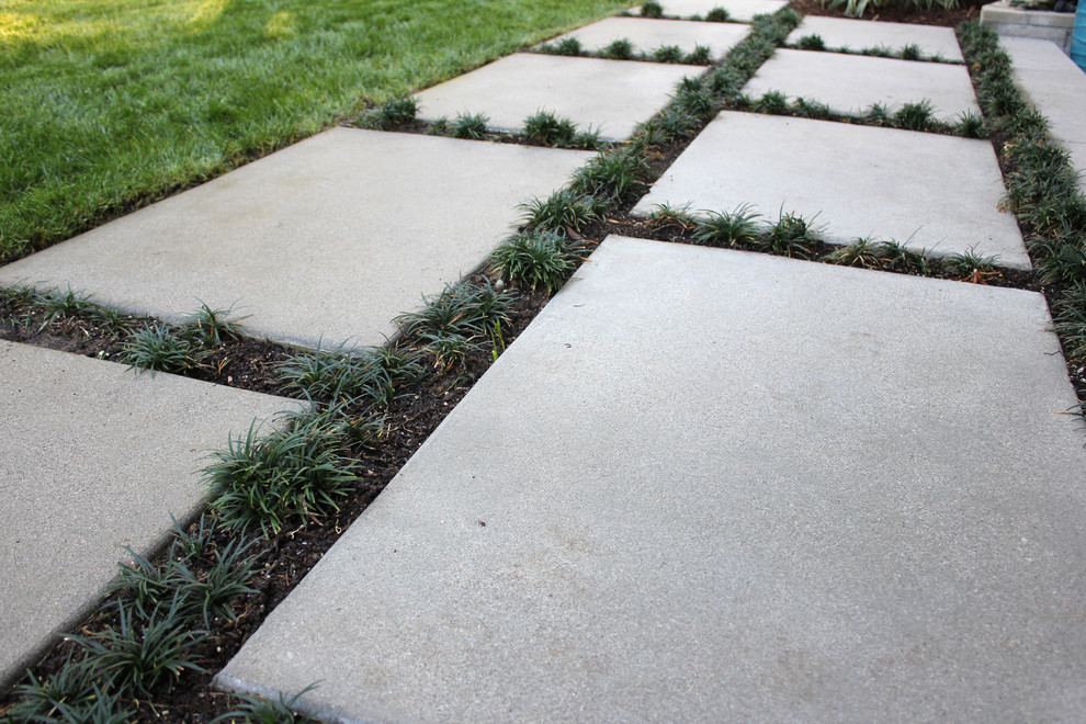 Tarzana MidCentury Midcentury Landscape Los Angeles by Segal