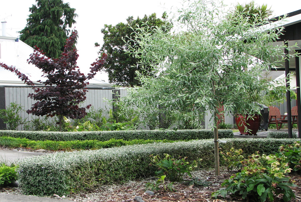 Mittelgroßer Mid-Century Garten im Winter mit Mulch in Hamilton