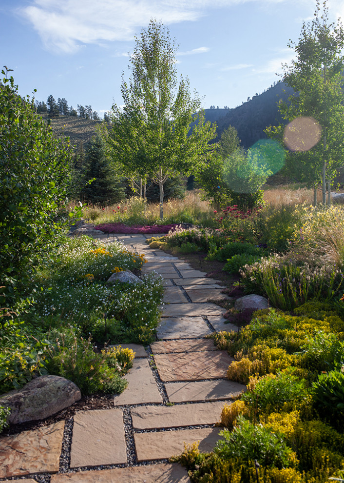This is an example of a modern garden in Denver.