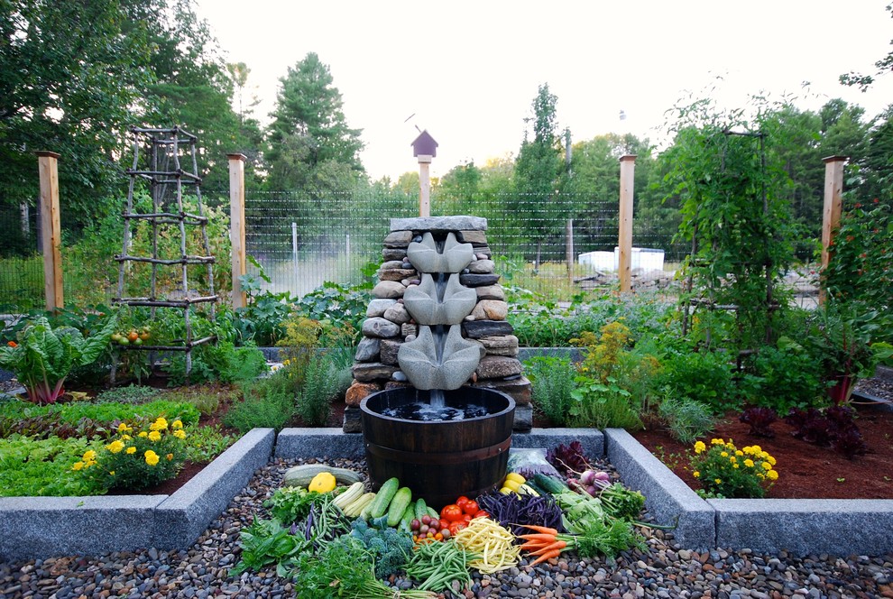 Aménagement d'un grand jardin arrière classique l'été avec une exposition ensoleillée et un paillis.