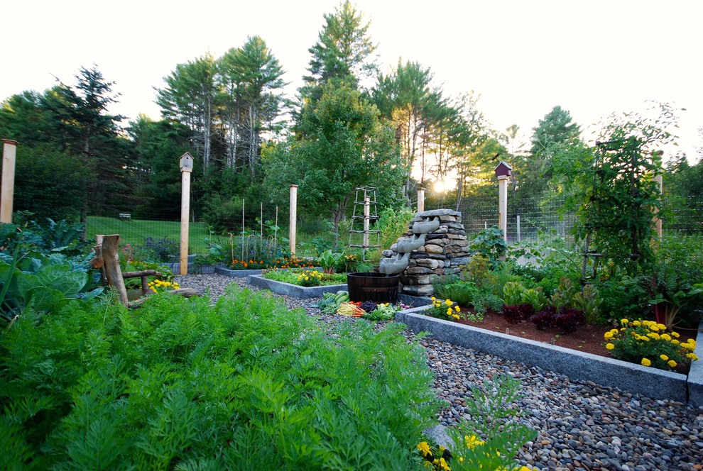 Cette image montre un grand jardin arrière traditionnel l'été avec une exposition ensoleillée et un paillis.