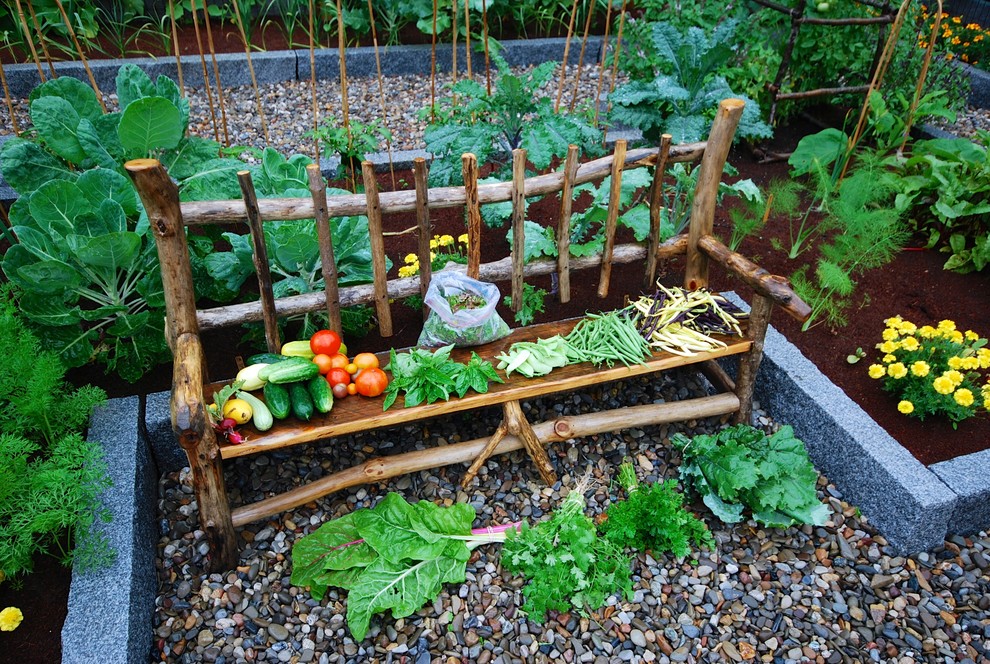 Geometrischer, Großer Klassischer Gemüsegarten im Sommer, hinter dem Haus mit direkter Sonneneinstrahlung und Mulch in Portland Maine