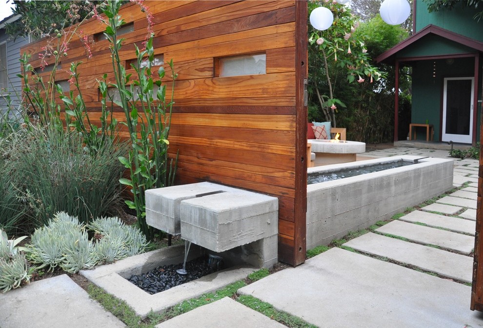Modern garden in Los Angeles.