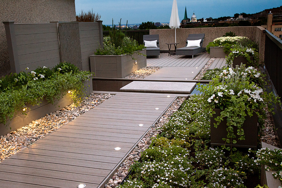 Aménagement d'un jardin sur toit contemporain de taille moyenne et l'été avec un point d'eau, une exposition ensoleillée et une terrasse en bois.
