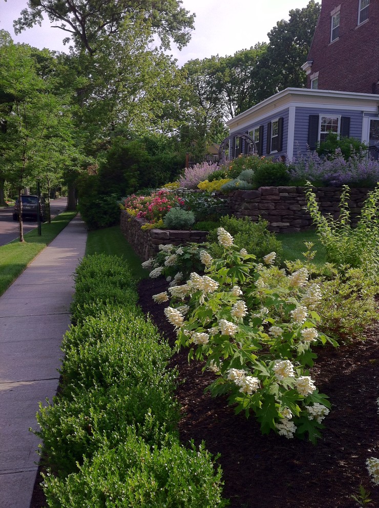 Terraced Front Garden - Traditional - Landscape - New York - by Mierop