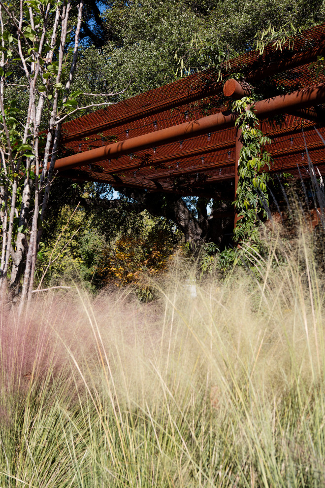 Mittelgroßer, Halbschattiger Moderner Garten im Sommer mit Granitsplitt in Austin