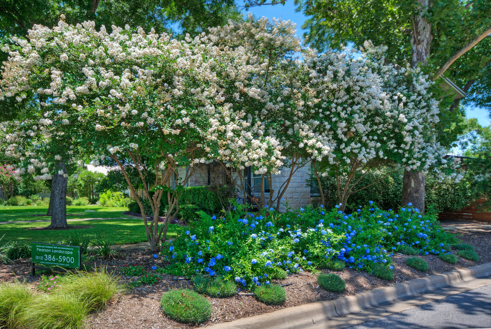 На фото: солнечный, весенний участок и сад среднего размера на переднем дворе в классическом стиле с хорошей освещенностью с