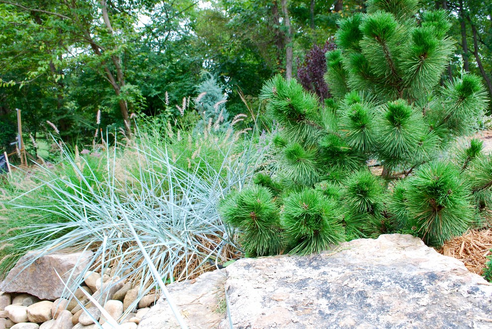 Cette image montre un jardin bohème.