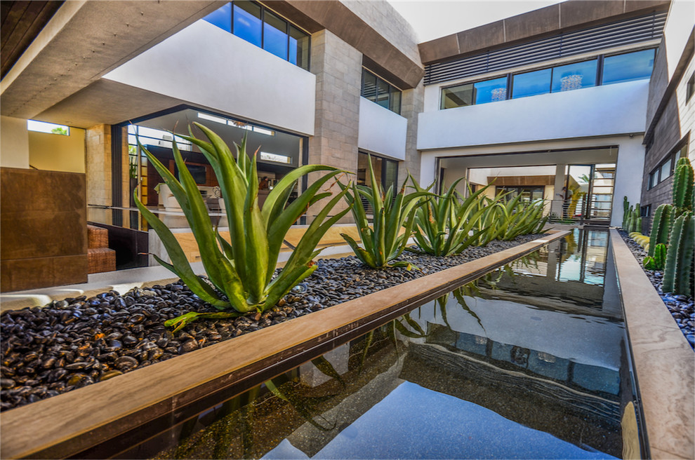 The 2013 NAHB New American Home Modern Landscape Las Vegas by