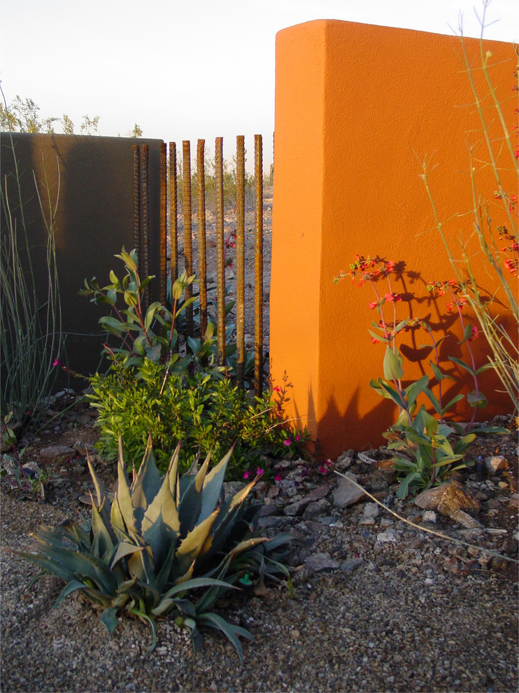 Inspiration for a bohemian garden in Phoenix.
