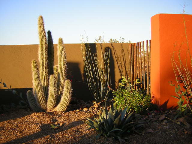 Mittelgroßer, Halbschattiger Mediterraner Garten hinter dem Haus mit Mulch in Phoenix