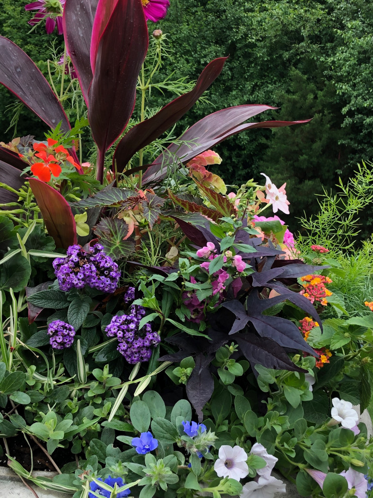 Esempio di un giardino in ombra nel cortile laterale in estate con un giardino in vaso