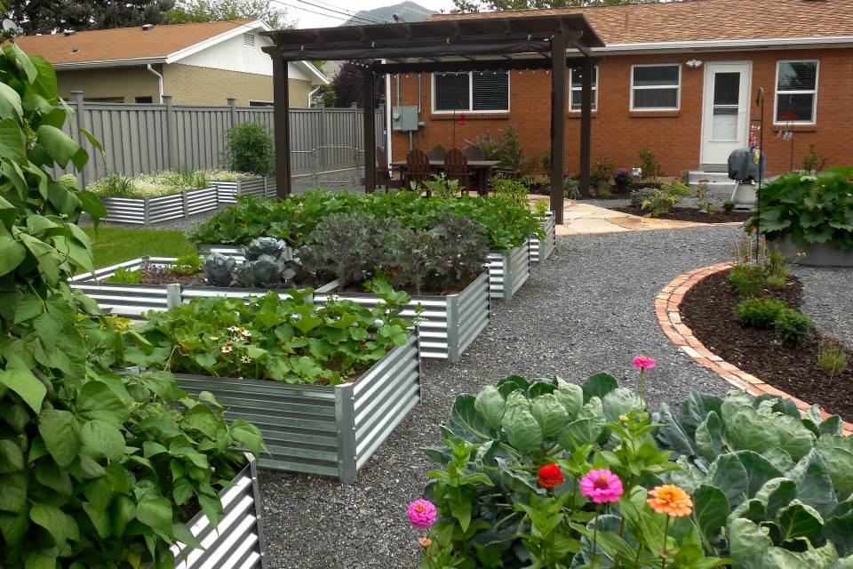 Idéer för en mellanstor eklektisk bakgård i full sol som tål torka, med en köksträdgård och grus