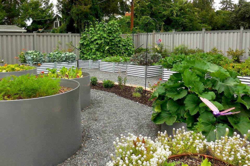 Cette photo montre un jardin arrière éclectique de taille moyenne avec une exposition ensoleillée et du gravier.
