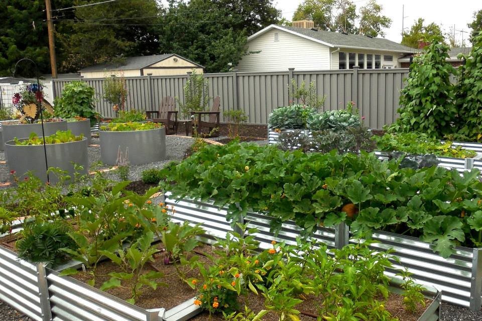 Стильный дизайн: солнечный участок и сад среднего размера на заднем дворе в стиле фьюжн с хорошей освещенностью и покрытием из гравия - последний тренд