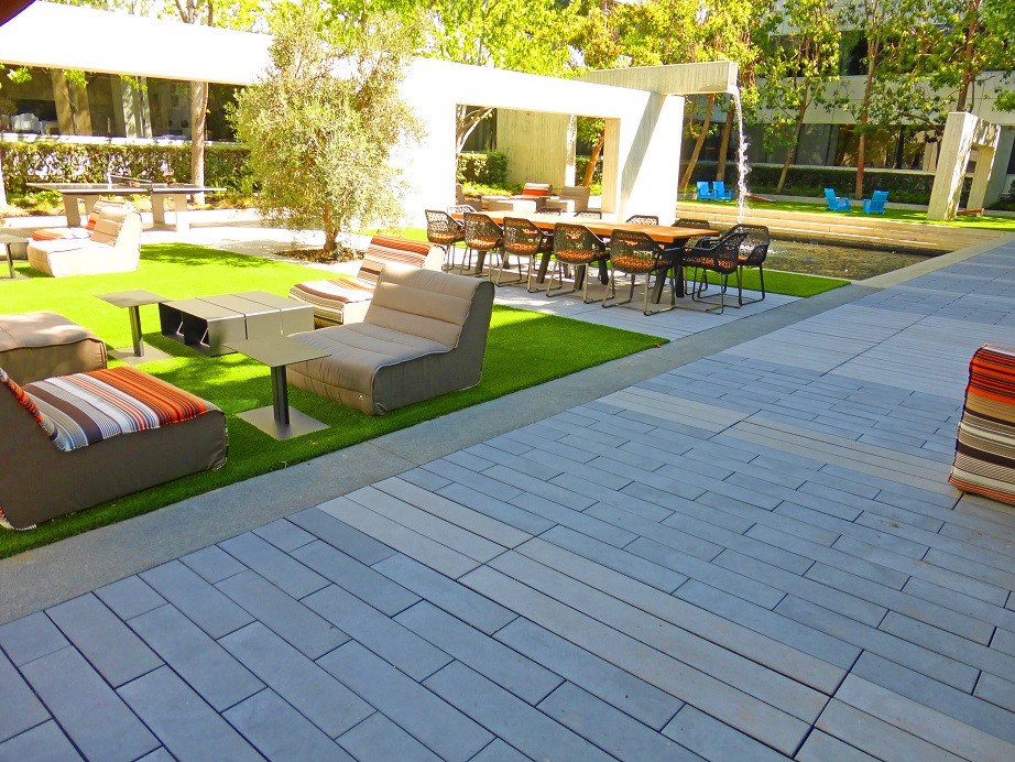 Contemporary garden in San Francisco.