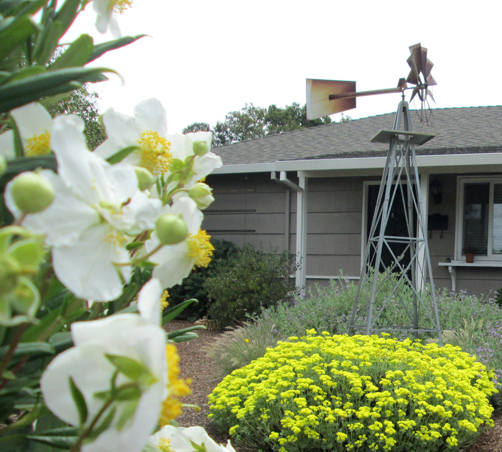 Cette photo montre un petit aménagement d'entrée ou allée de jardin avant nature au printemps avec une exposition ensoleillée et un paillis.