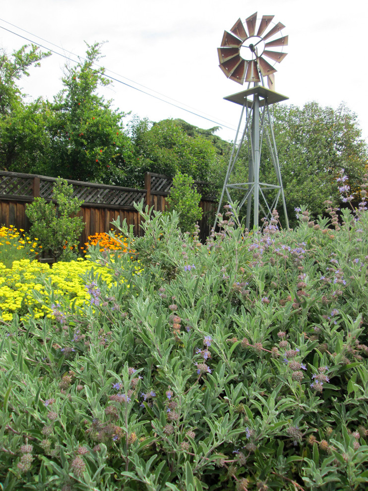Idee per un piccolo giardino country esposto in pieno sole davanti casa in primavera con un ingresso o sentiero e pacciame