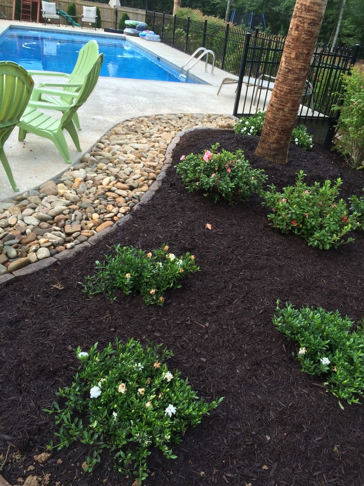 Photo of a mid-sized traditional backyard mulch landscaping in Other.