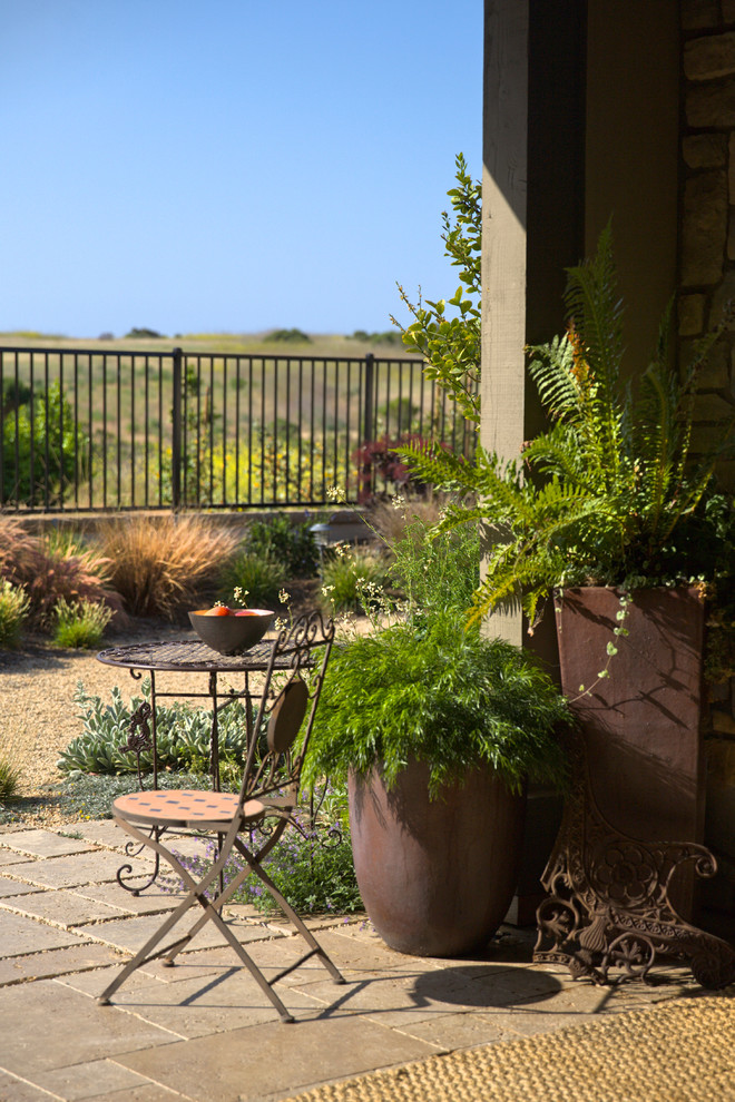 Ejemplo de jardín mediterráneo en patio trasero con exposición parcial al sol