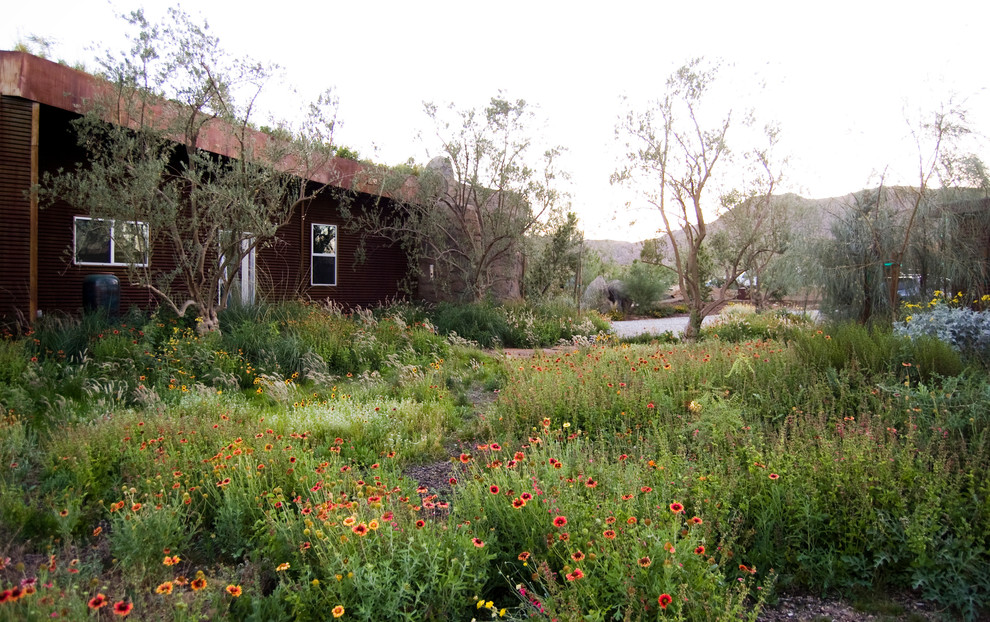 Cette image montre un grand jardin avant minimaliste avec des pavés en pierre naturelle.