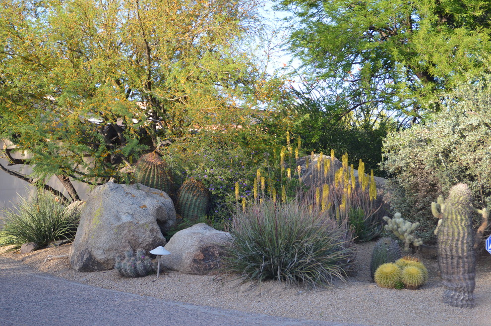Mediterraner Garten in Phoenix