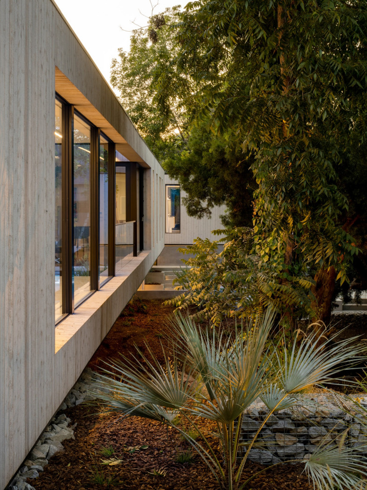 Design ideas for a modern drought-tolerant backyard garden path in Los Angeles.