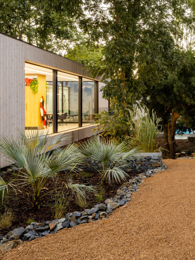 Foto di un giardino xeriscape minimalista dietro casa con un ingresso o sentiero