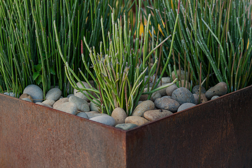 Foto di un giardino formale minimalista esposto in pieno sole di medie dimensioni e davanti casa con un giardino in vaso