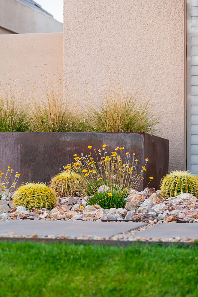 Ejemplo de jardín minimalista de tamaño medio en patio delantero con jardín de macetas y exposición total al sol