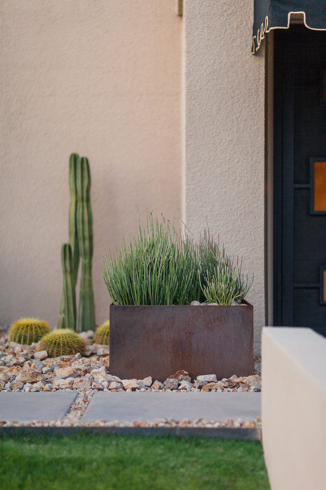 Mittelgroßer Moderner Vorgarten mit Kübelpflanzen und direkter Sonneneinstrahlung in Phoenix
