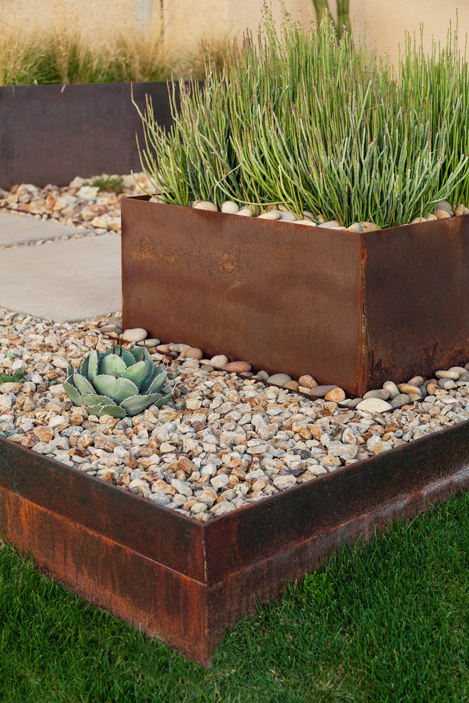 Стильный дизайн: солнечный регулярный сад среднего размера на переднем дворе в стиле модернизм с хорошей освещенностью и пустынными растениями - последний тренд
