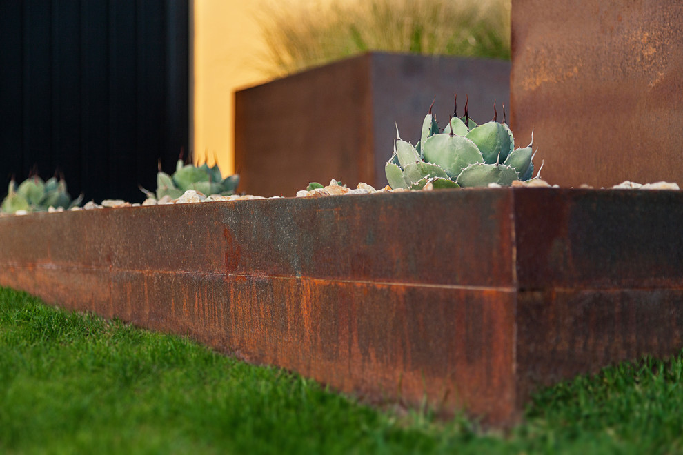 Esempio di un giardino formale minimalista esposto in pieno sole di medie dimensioni e davanti casa con un giardino in vaso