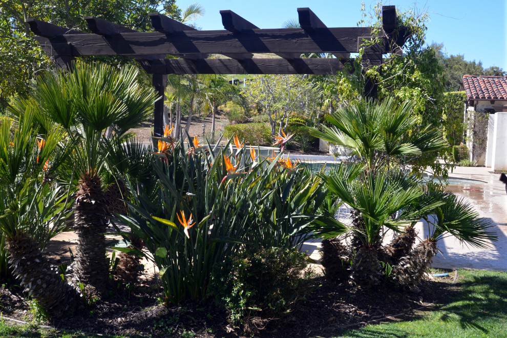 Geräumiger Mediterraner Garten im Innenhof mit Sichtschutz und direkter Sonneneinstrahlung in San Diego