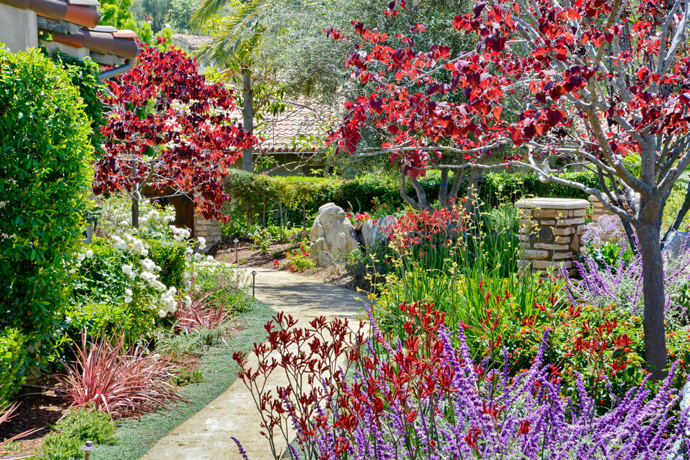 Inspiration pour un très grand jardin arrière méditerranéen au printemps avec une exposition ensoleillée et des pavés en béton.