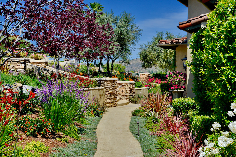 Geometrischer, Geräumiger Mediterraner Gartenweg im Frühling, hinter dem Haus mit direkter Sonneneinstrahlung und Betonboden in San Diego