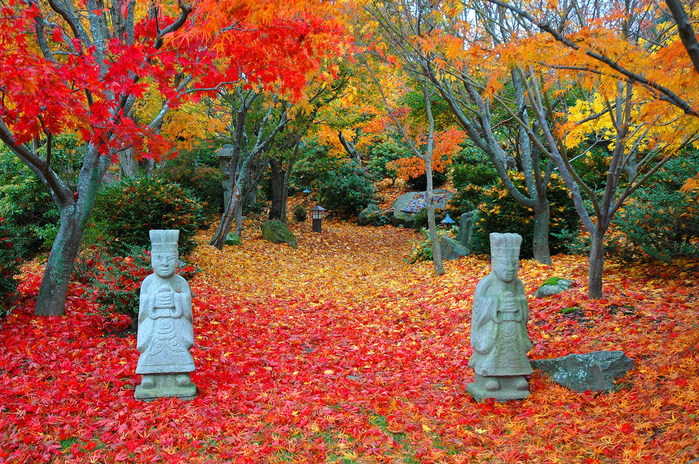 Photo of an asian landscaping in Boston for fall.