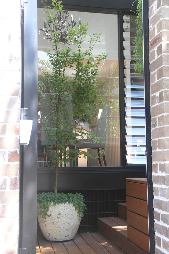 Пример оригинального дизайна: маленький тенистый участок и сад на внутреннем дворе в стиле лофт с растениями в контейнерах для на участке и в саду