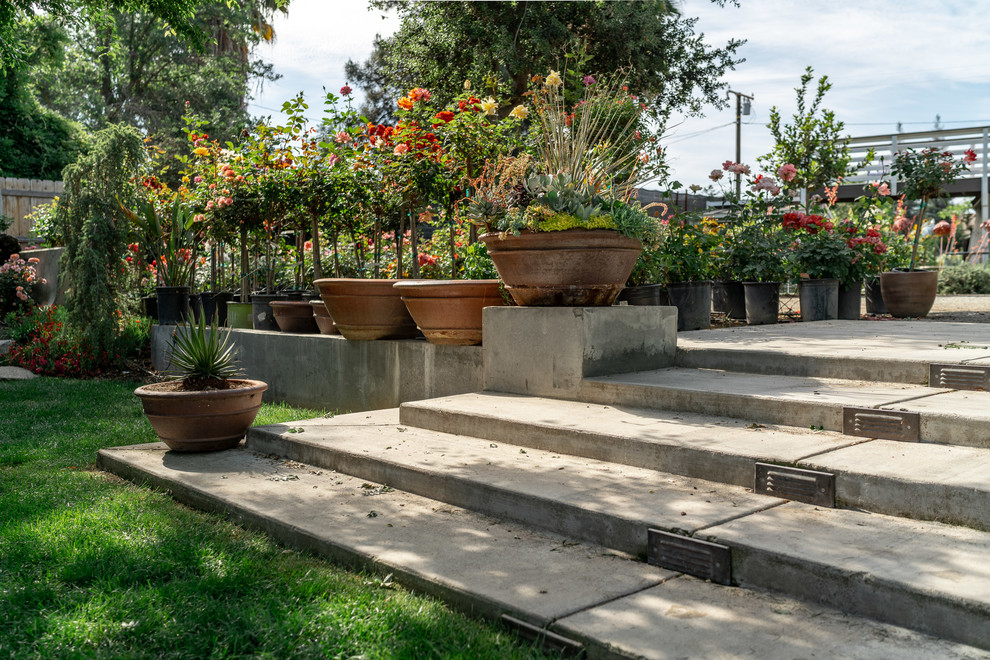 Ispirazione per un giardino tradizionale esposto in pieno sole dietro casa con un ingresso o sentiero
